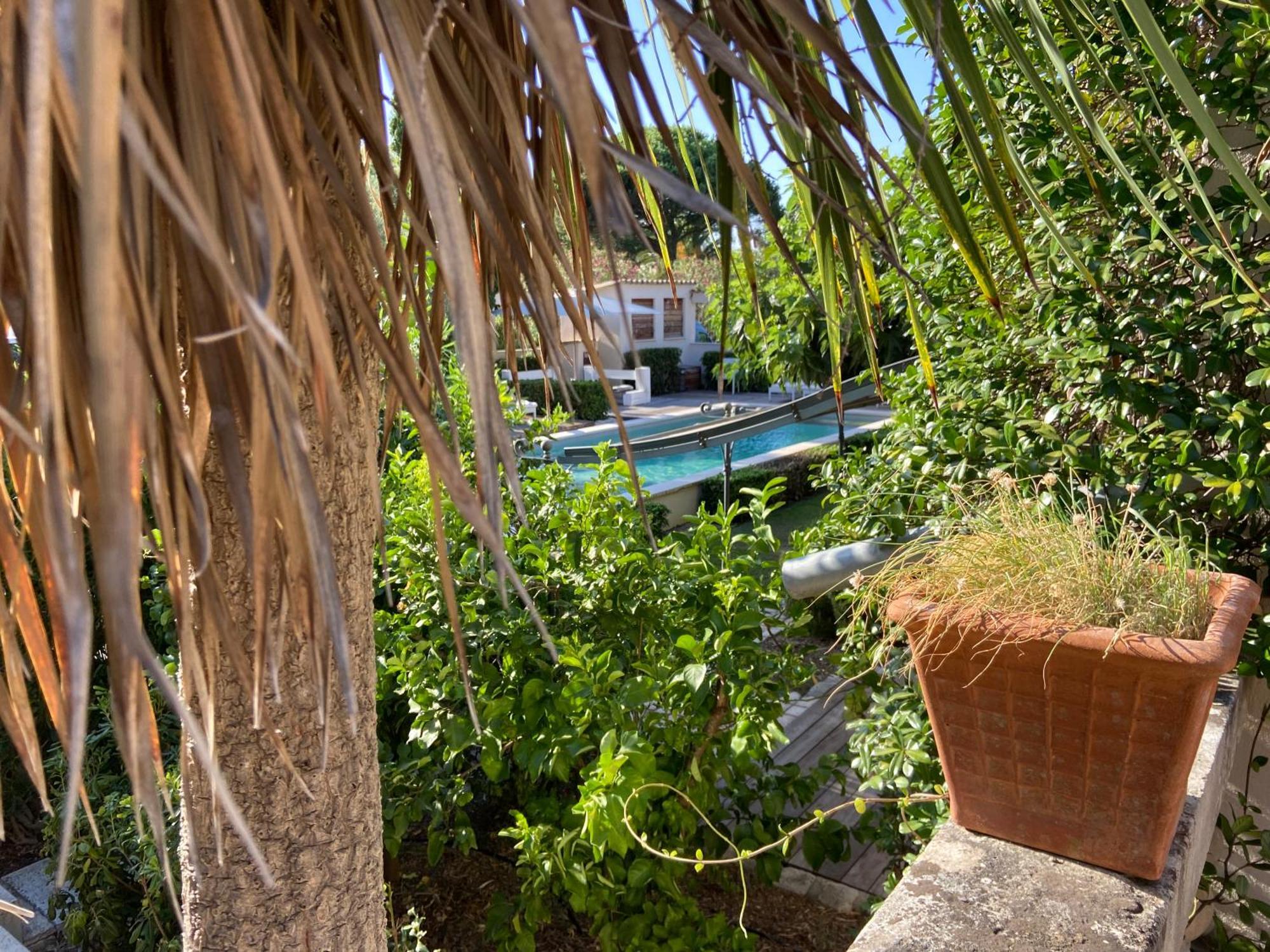 سان تروبيه Villa La Begude - Boutique Luxury B&B المظهر الخارجي الصورة