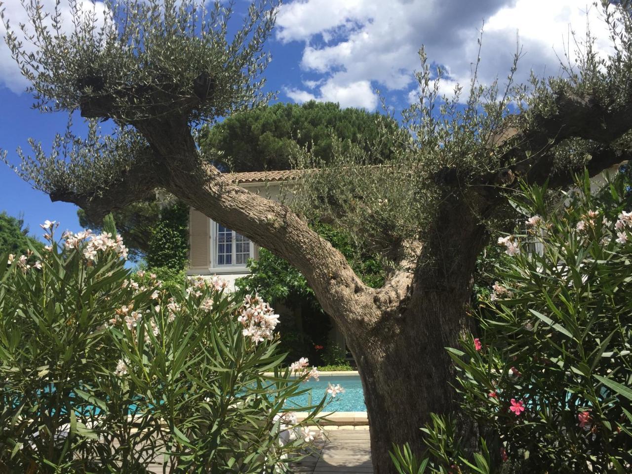 سان تروبيه Villa La Begude - Boutique Luxury B&B المظهر الخارجي الصورة